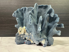 Blue Ridge Coral 6x5x4.5