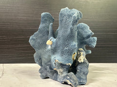 Blue Ridge Coral 6x5x4.5