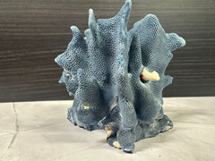 Blue Ridge Coral 6x5x4.5