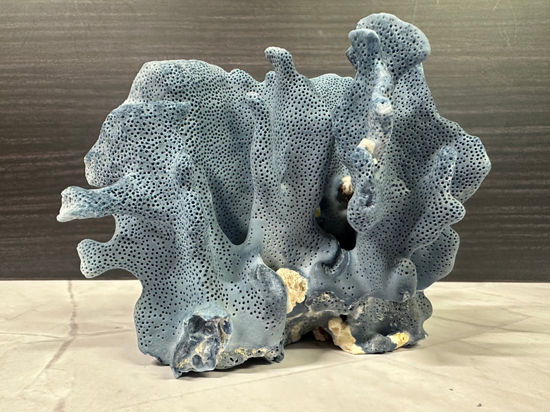 Blue Ridge Coral 6x5x4.5"