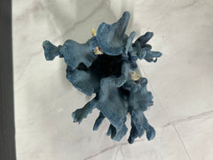 Blue Ridge Coral 6x5x4.5