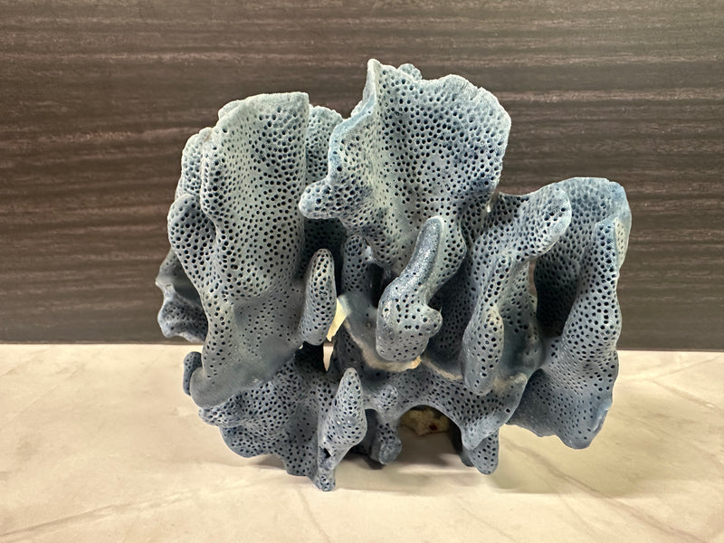 Blue Ridge Coral 5x5x4.5"