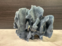 Blue Ridge Coral 5x5x4.5