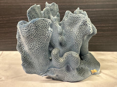 Blue Ridge Coral 5x5x4.5