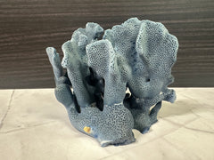 Blue Ridge Coral 5x5x4.5