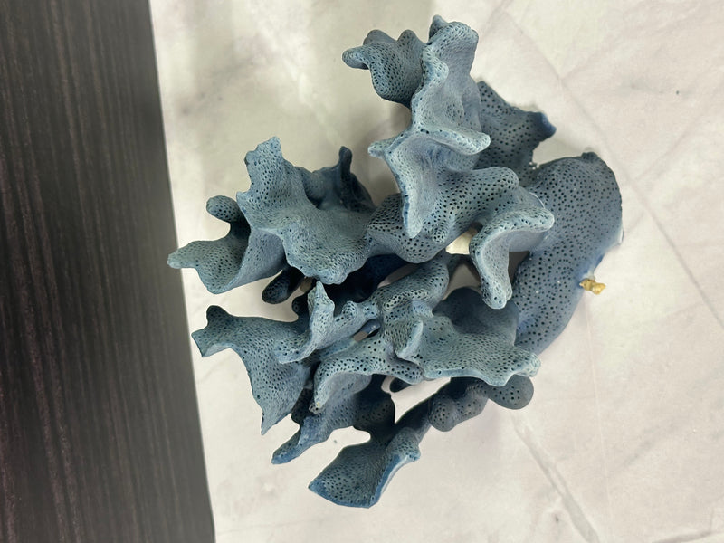 Blue Ridge Coral 5x5x4.5"
