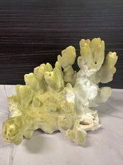 Fire Slab Coral 9x6x5.5