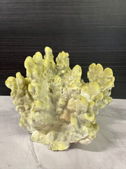 Fire Slab Coral 8x9x6.5