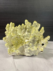Fire Slab Coral 8x9x6.5