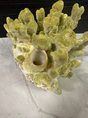 Fire Slab Coral 8x9x6.5
