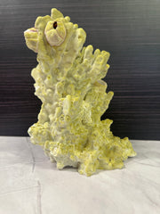 Fire Slab Coral 9x7x11