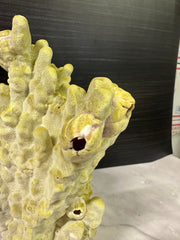 Fire Slab Coral 9x7x11