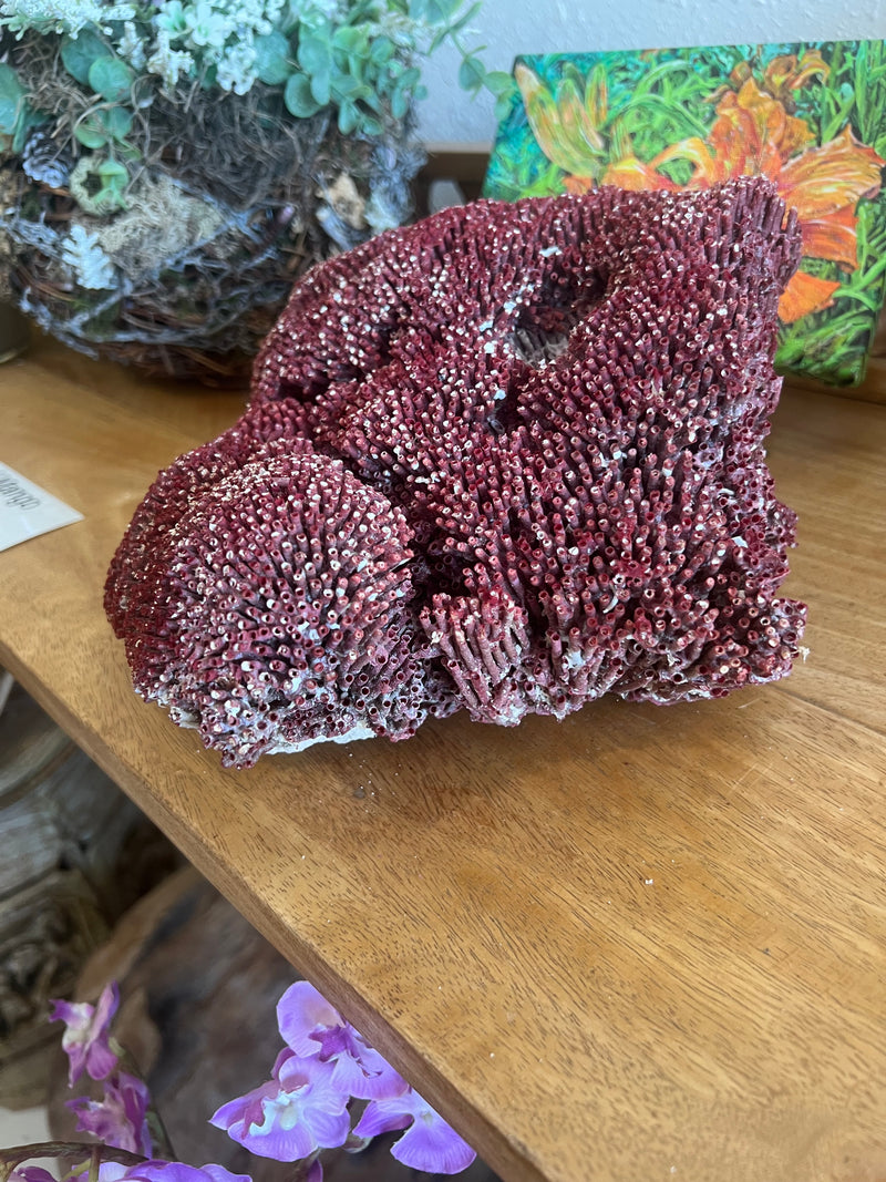 Vintage Red Pipe Coral- 12"