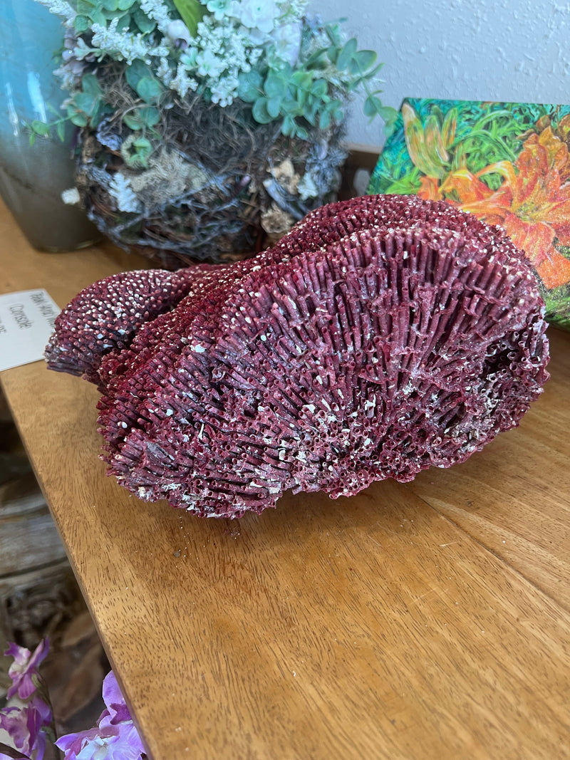 Vintage Red Pipe Coral- 12"