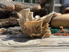 Vintage Natural Poca Coral - 7x8x4.5