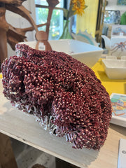 Vintage Red Pipe Organ Coral- 14
