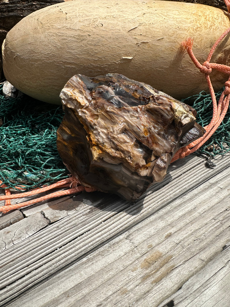Opalized Petrified Wood Rough
