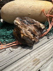 Opalized Petrified Wood Rough