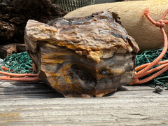 Opalized Petrified Wood Rough