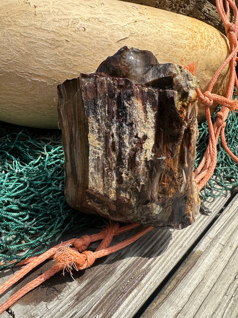 Opalized Petrified Wood Rough