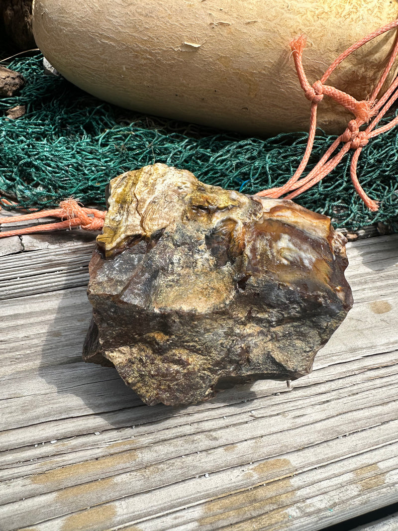 Opalized Petrified Wood Rough
