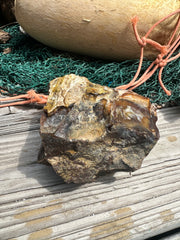 Opalized Petrified Wood Rough