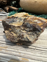 Opalized Petrified Wood Rough
