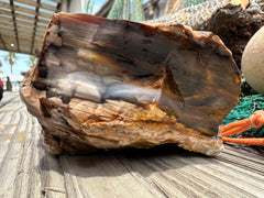 Opalized Petrified Wood Rough