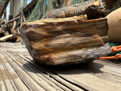 Opalized Petrified Wood Rough