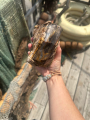Opalized Petrified Wood Rough