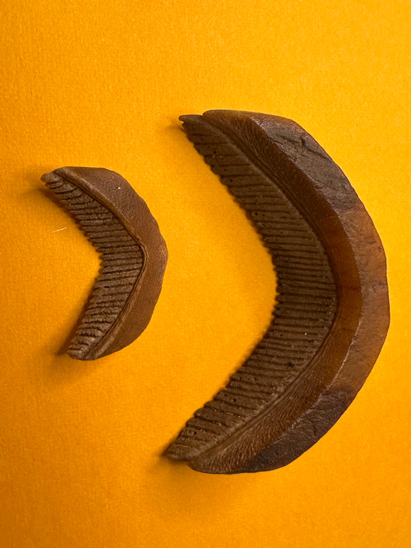 Fossilized Eagle Ray Plate Duo