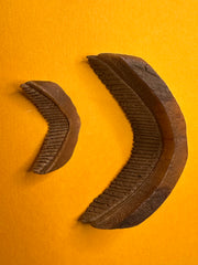 Fossilized Eagle Ray Plate Duo