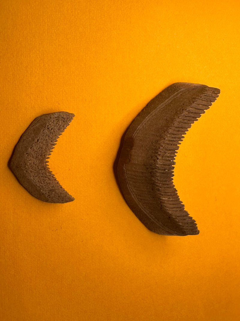 Fossilized Eagle Ray Plate Duo