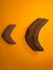 Fossilized Eagle Ray Plate Duo