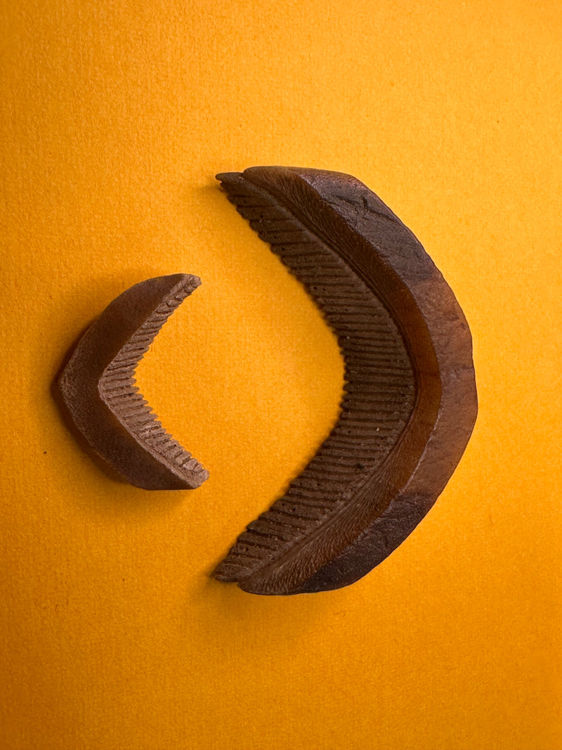 Fossilized Eagle Ray Plate Duo