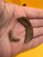Fossilized Eagle Ray Plate Duo