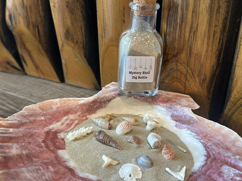 Mystery Shell Dig Bottle
