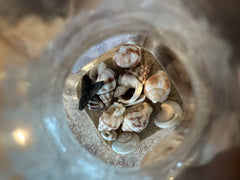 Beach in a Bottle