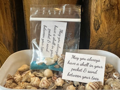 Shell in Your Pocket Bag