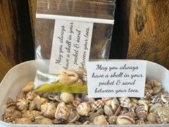 Shell in Your Pocket Bag