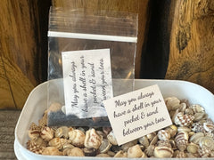 Shell in Your Pocket Bag