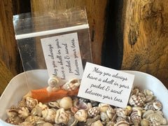 Shell in Your Pocket Bag
