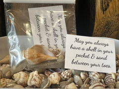 Shell in Your Pocket Bag