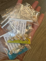 Shell in Your Pocket Bag