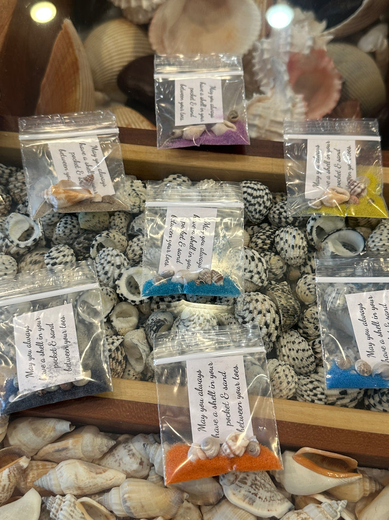 Shell in Your Pocket Bag