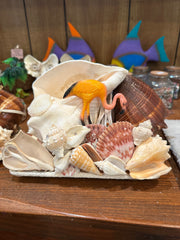 Chank & Mixed Seashells Novelty Light (Seahorse,  Palm Tree, Flamingo or Crucifix Accent)