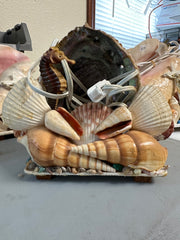 Vintage Abalone Seashell Novelty light- with Seahorse, Palm Tree or Flamingo