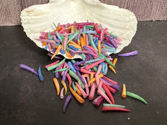 Tusk Shells- Dentalium/ White or Colorful