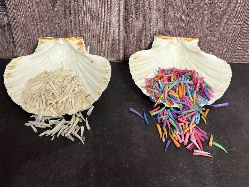 Tusk Shells- Dentalium/ White or Colorful