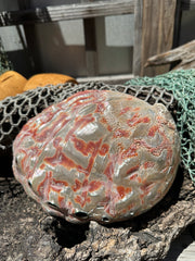Polished Red Abalone 8.25